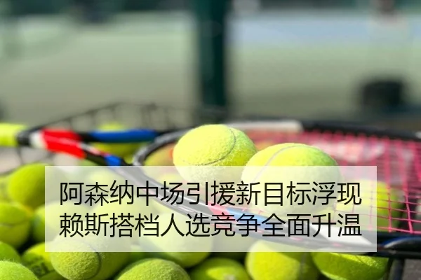阿森纳中场引援新目标浮现 赖斯搭档人选竞争全面升温